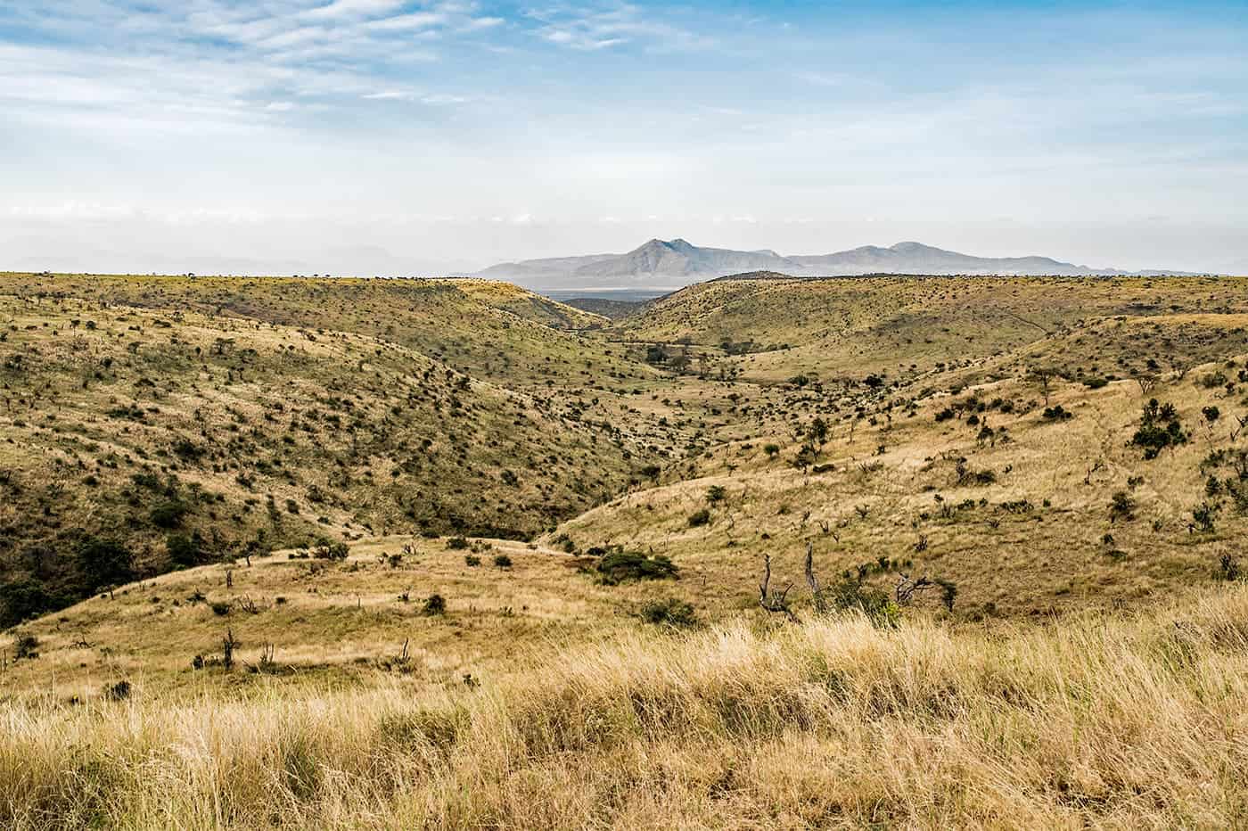 https://zwda.org.zw/wp-content/uploads/2021/07/david-clode-2EjAS6rvP68-unsplash.jpg